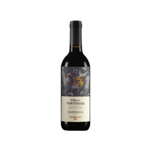 Barbera DOC Piemonte 2024