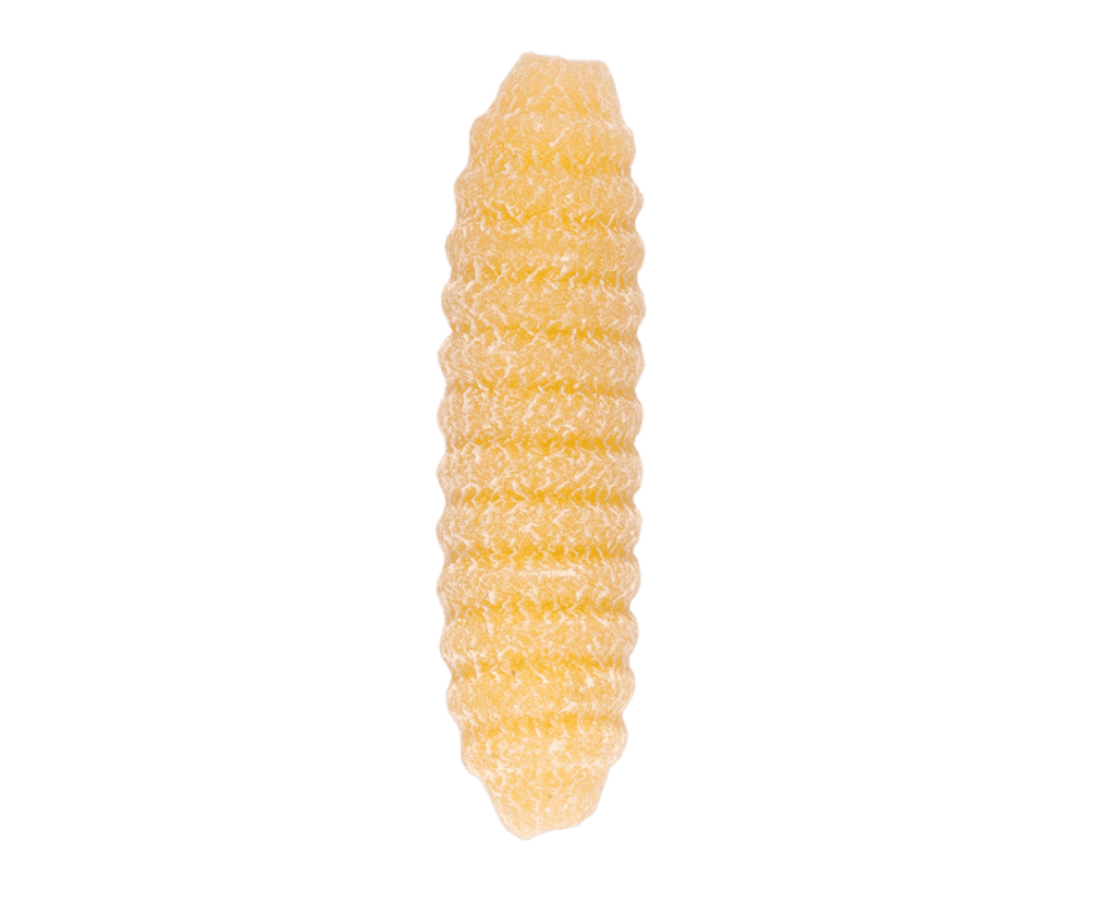 massa_italiana_malloreddus_grandi_n363_500gr_celli_2_20260514171741_3b40b41e2eb4.png