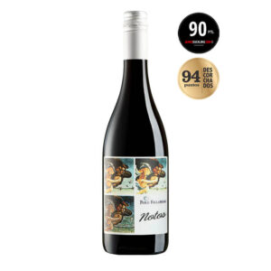 Vinho Uruguaio Tinto Notos 2021 Pablo Fallabrino