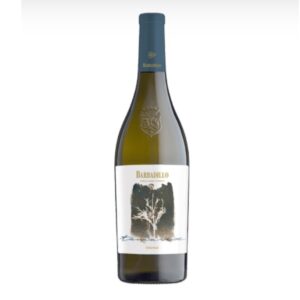 Vinho Espanhol Branco Tamarix Orange (Vinho Laranja)